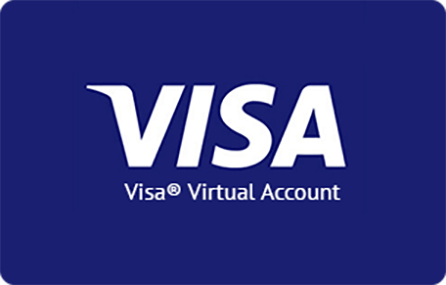 Vanilla Visa Gift Card $20-$500